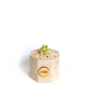 Plantica c1