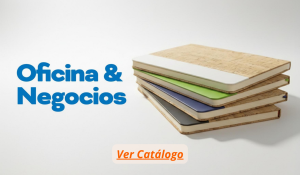 INICIO OFICINA Y NEGOCIOS 2026 2
