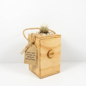 Cubo con Planta