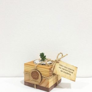 Cubo con Planta