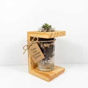 Cubo con Planta Hueco