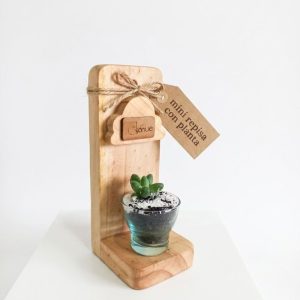 Minirepisa con Planta
