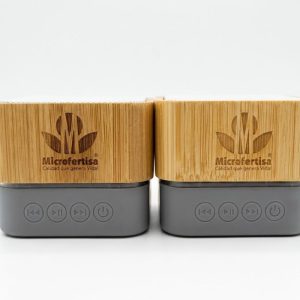 Amplificador en Madera