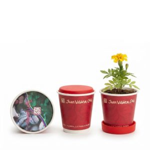 Paquete de siembra Flores
